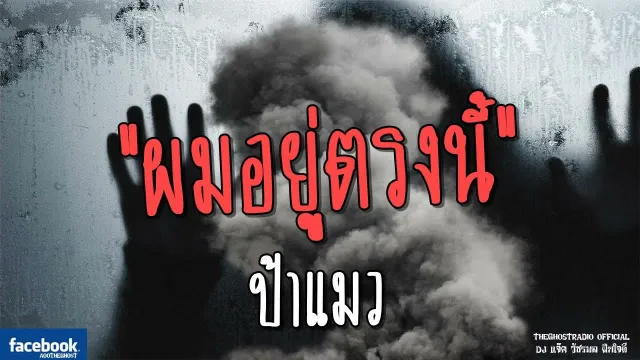 ผมอยู่ตรงนี้ | ป้าแมว | 13 พฤษภาคม 2561 | TheGhostRadioOfficial ฟังเรื่องผีเดอะโกส
