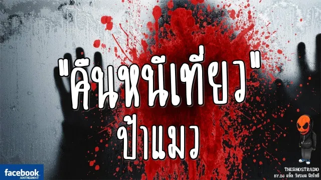 [TheGhostRadio] เรื่อง "คืนหนีเที่ยว" ป้าแมว วันที่ 3 ตุลาคม 2016 | TheGhostRadio ฟังเรื่องผีเดอะโกส