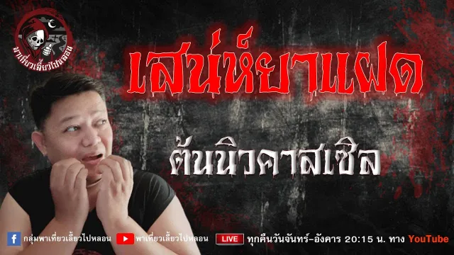 เรื่อง เสน่ห์ยาแฝด -  ต้นนิวคาสเซิล