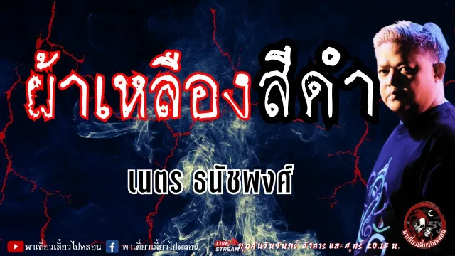 เรื่อง ผ้าเหลืองสีดำ - เนตร ธนัชพงศ์