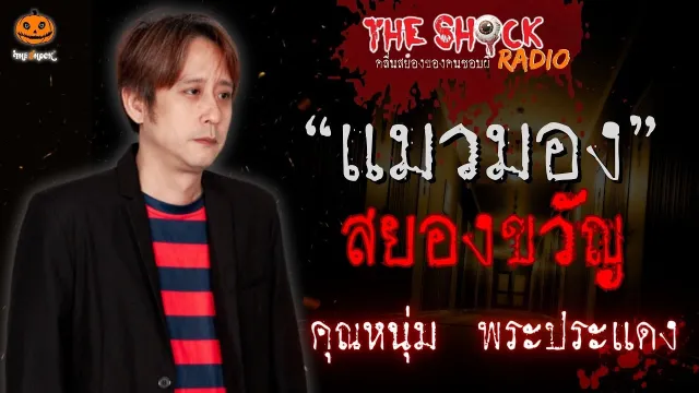 แมวมองสยองขวัญ คุณหนุ่ม พระประแดง l TheShock13