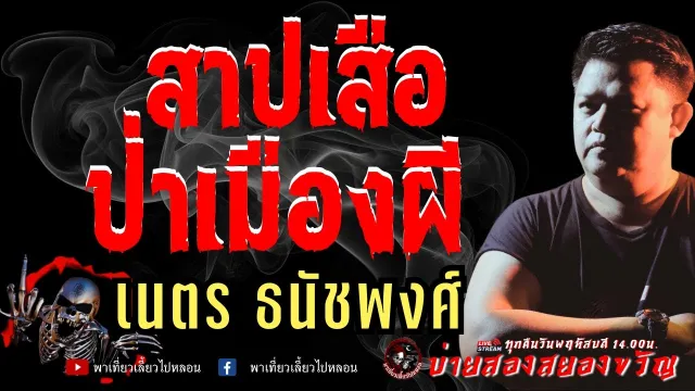 เรื่อง สาปเสือป่าเมืองผี  - เนตร ธนัชพงศ์