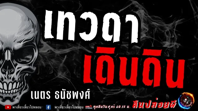 เรื่อง เทวดาเดินดิน -  เนตร ธนัชพงศ์