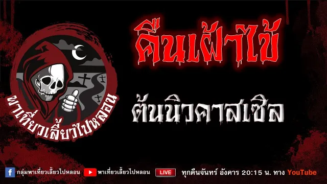 เรื่อง คืนเฝ้าไข้ - ต้นนิวคาสเซิล