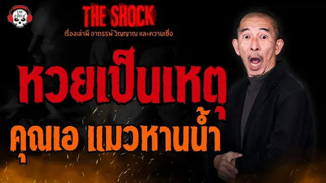 หวยเป็นเหตุ คุณเอ แมวหานน้ำ l TheShock13