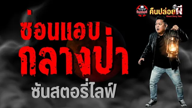 ซ่อนแอบกลางป่า