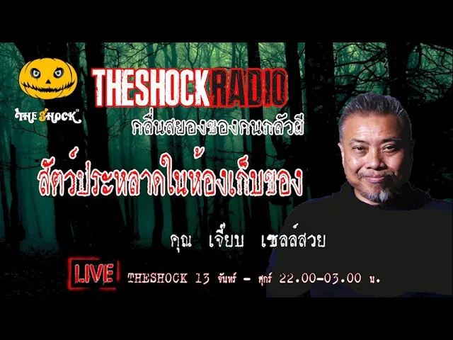 เรื่องเล่าสุดช็อค l สัตว์ประหลาดในห้องเก็บของ คุณ เจี๊ยบ เซลล์สวย l TheShock13