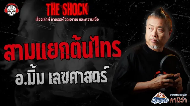 สามแยกต้นไทร เลขศาสตร์