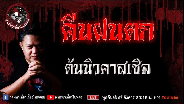 เรื่อง คืนฝนตก - ต้นนิวคาสเซิล