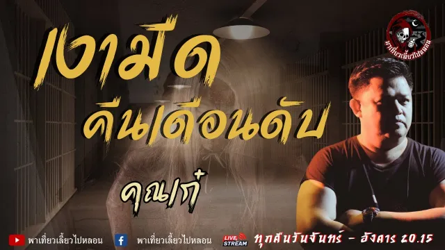 เรื่อง เงามืดคืนเดือนดับ - คุณเก๋