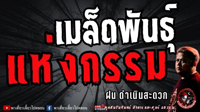 เรื่อง เมล็ดพันธ์แห่งกรรม  - ฝน ดำเนินสะดวก