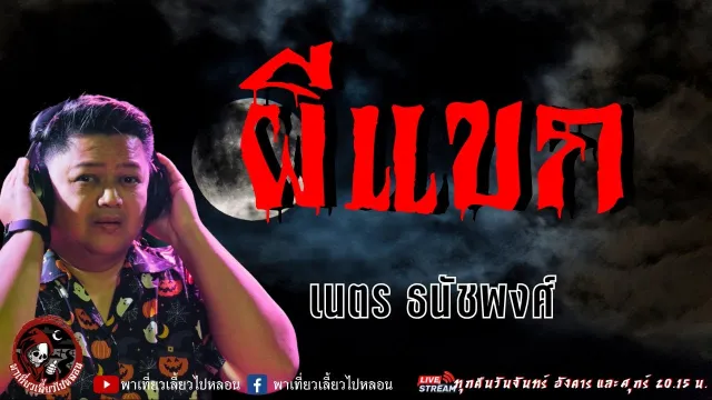 เรื่อง ผีแขก  - เนตร ธนัชพงศ์