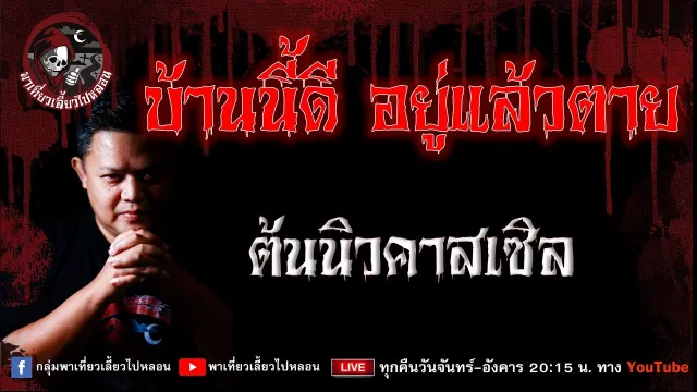 เรื่อง บ้านนี้ดี อยู่แล้วตาย - ต้นนิวคาสเซิล