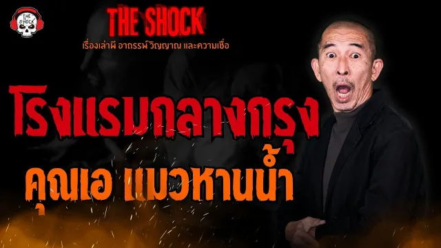 โรงแรมกลางกรุง คุณเอ แมวหานน้ำ l TheShock13
