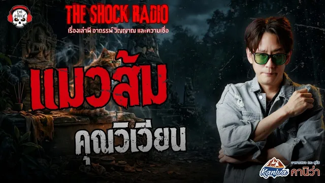 แมวส้ม คุณวิเวียน | THE SHOCK