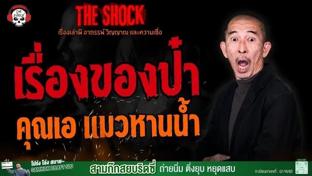 เรื่องของป๋า คุณเอ แมวหานน้ำ l TheShock13