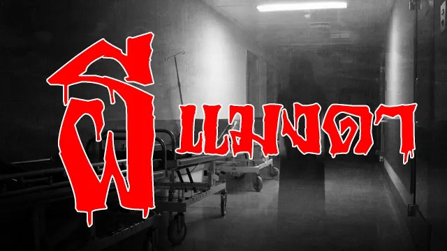ทำไมหลอกกันแรงขนาดนี้ l เรื่องเล่าสุดช็อค l 3 รุม 1 คุณ เอ๋ l The Shock เดอะช็อค
