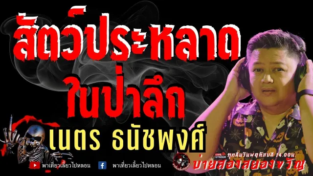 เรื่อง สัตว์ประหลาดในป่าลึก  - เนตร ธนัชพงศ์