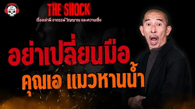 อย่าเปลี่ยนมือ คุณเอ แมวหานน้ำ l TheShock13