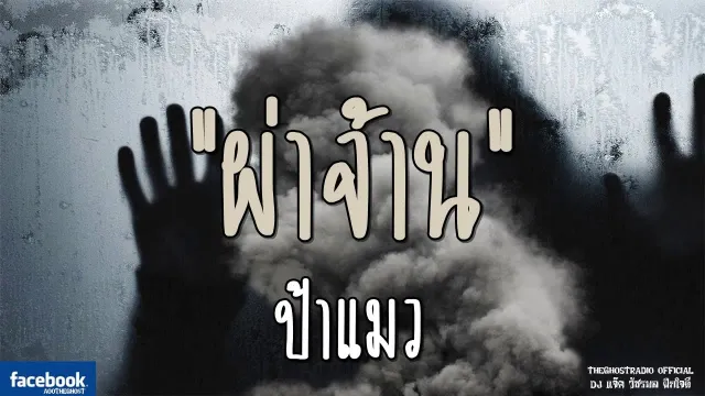 ผ่าจ้าน | ป้าแมว | 30 กันยายน 2561 | TheGhostRadioOfficial ฟังเรื่องผีเดอะโกส