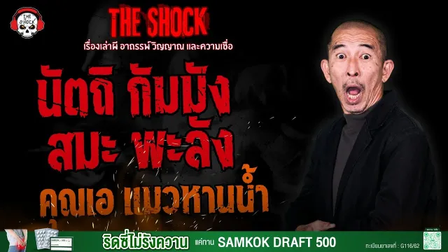 นัตถิ กัมมัง สมะ พะลัง คุณเอ แมวหานน้ำ l TheShock13