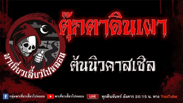 เรื่อง ตุ๊กตาดินเผา - ต้นนิวคาสเซิล