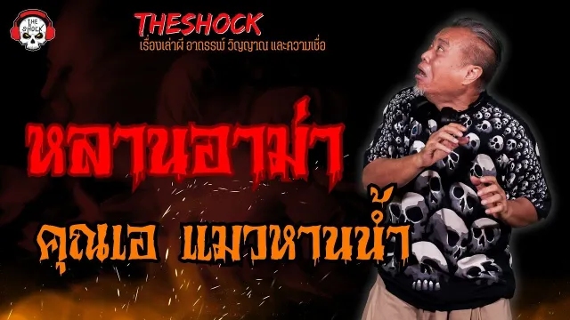 หลานอาม่า คุณเอ แมวหานน้ำ l TheShock13