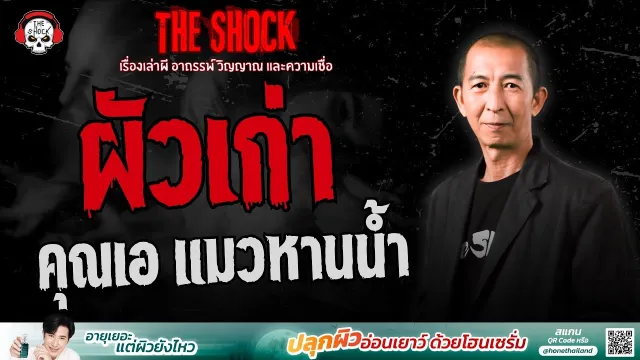 ผัวเก่า คุณเอ แมวหานน้ำ | THE SHOCK