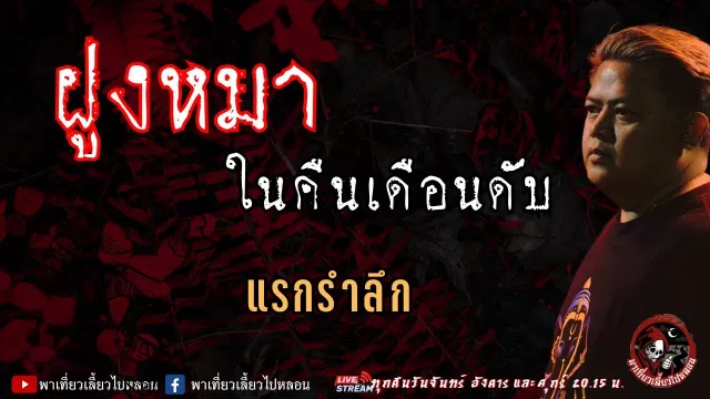 เรื่อง ฝูงหมาในคืนเดือนดับ - แรกรำลึก