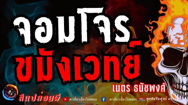 เรื่อง จอมโจรขมังเวทย์ - เนตร ธนัชพงศ์