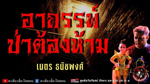 เรื่อง อาถรรพ์ป่าต้องห้าม  - เนตร ธนัชพงศ์