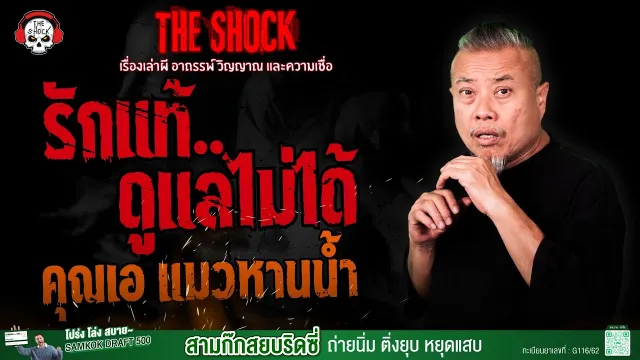 รักแท้..ดูแลไม่ได้ คุณเอ แมวหานน้ำ | THE SHOCK